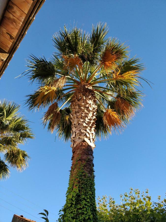 La Palmeraie 马赛 外观 照片