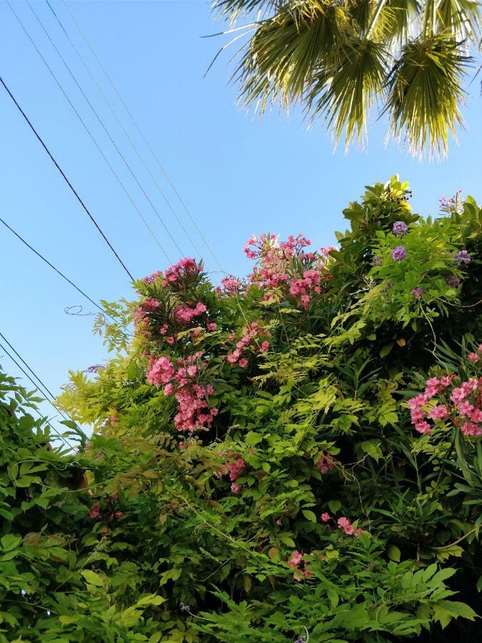 La Palmeraie 马赛 外观 照片